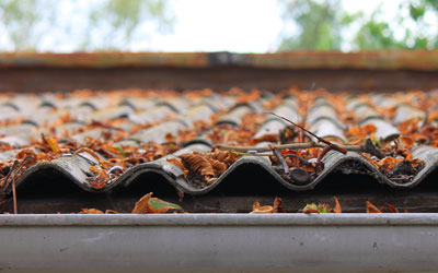 company service C tag